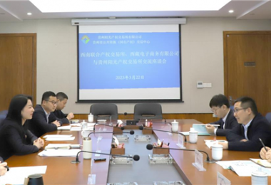 經(jīng)驗交流  共促發(fā)展——西南聯(lián)合產(chǎn)權交易所、西藏電子商務有限公司 與貴州陽光產(chǎn)權交易所交流座談