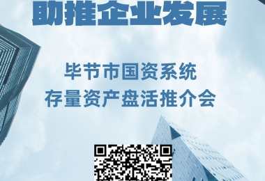 畢節市國資系統存量資產盤活推介會