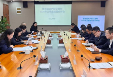 陽(yáng)光產(chǎn)權(quán)交易所召開(kāi)2025年三季度經(jīng)營(yíng)分析會(huì)