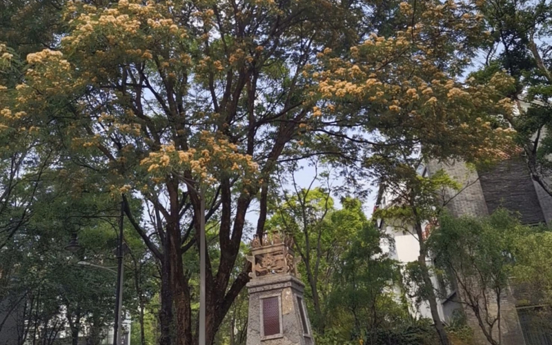 云南省大理山水間二期一組團草鷺4-2號房產轉讓(二次掛牌)